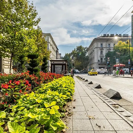 Cozy Little Flat In The Center Budapest